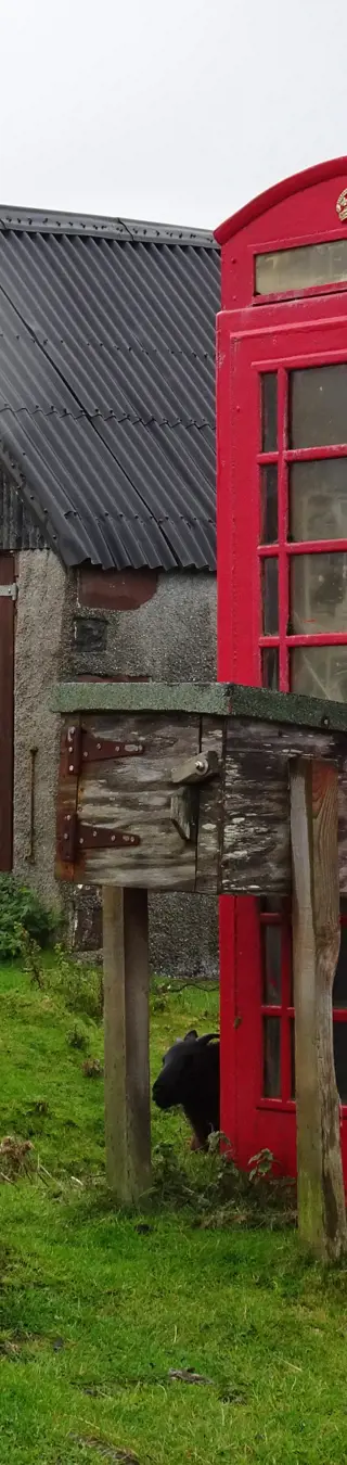 Einsame Telefonzellen und schottische Schafe.
